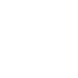 Sporting Goods